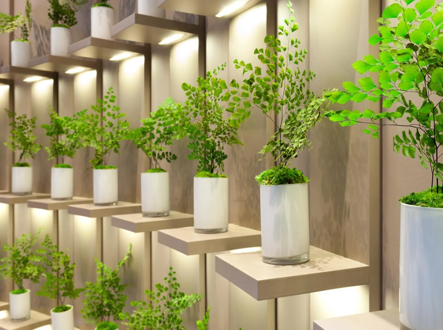 Hotel Condes De Barcelona Spanje